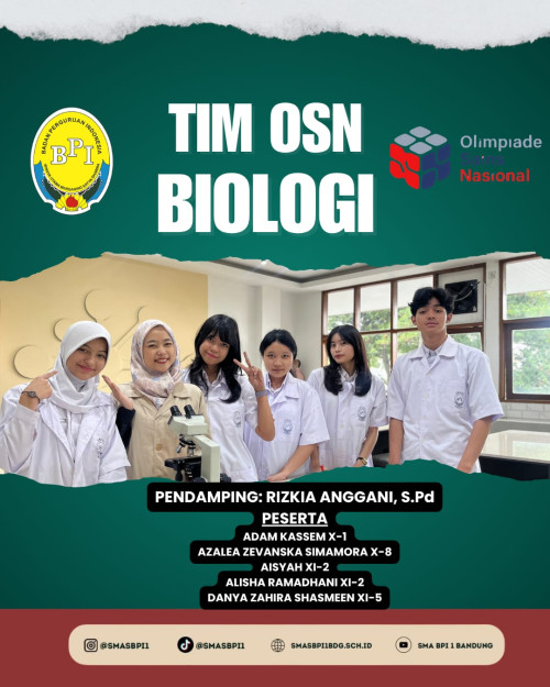 Sukses OSN